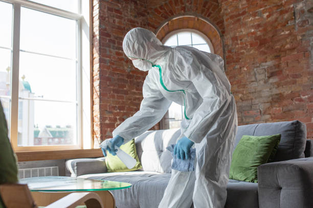 Best Mold Remediation for Healthcare Facilities in USA